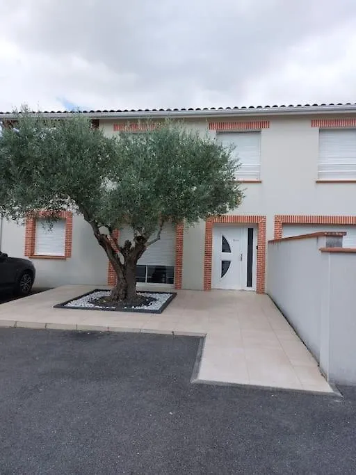 T3 Climatise, Parking Et Jardin Quartier Des Marots A Colomiers Apartment